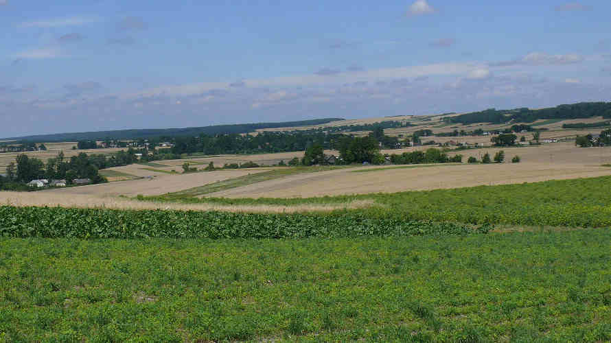 panorama